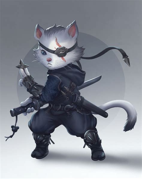 Ninja Kitty